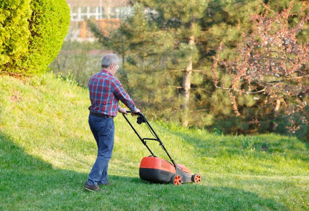 Local Landscaper